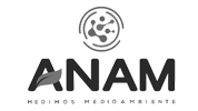 ANAM